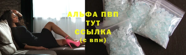 индика Касимов