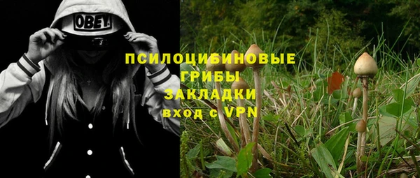 марки nbome Карпинск